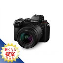 【推奨品】パナソニック DC-S5K-K ミラーレス一眼カメラ LUMIX S5 標準ズームレンズキット (ズームレンズ) DCS5KK