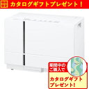パナソニック 除湿機 ハイブリッド式 タンク容量2.4L ナノイー 衣類乾燥 目安畳数〜15畳 洗濯物の真下から乾かせる F-YHX90B ホワイト系