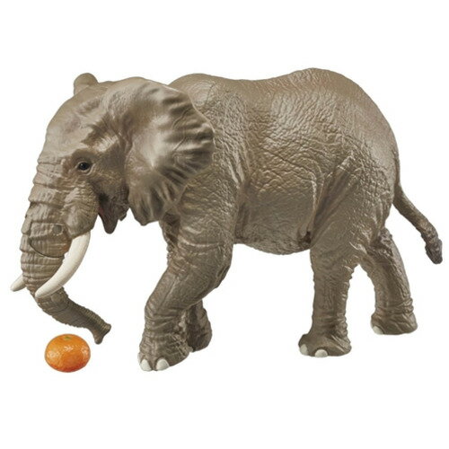 タカラトミー アニア AS−02 アフリカゾウ（オレンジ付き）