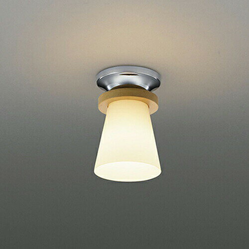 【ショップポイント最大10倍★ワン