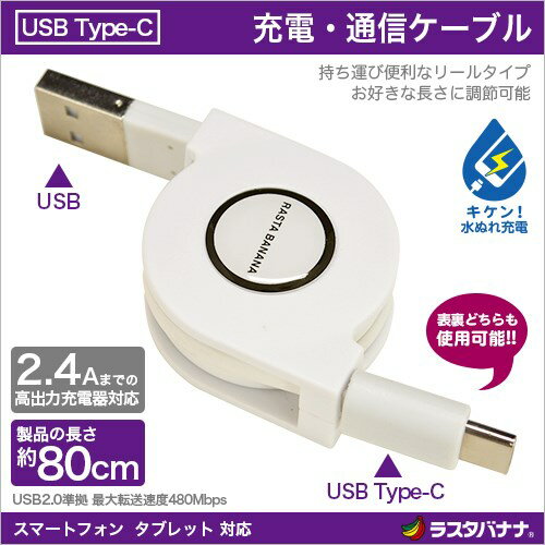 RASTA BANANAʥ饹Хʥʡ RBHE251 Type-C USB ̿ ֥ ꡼륿 ϽŴб ۥ磻...