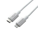 GR MPA-CLPS10SV USB-C to LightningP[u(ϋvdl) SV