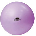 cCY CF-008 tBbglX{[55cm g[jO}jAEpve[vt CATERPY mFITNESSn p[v