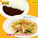 松屋 オリジナルカレー焼ビーフンセット 松屋味付け焼きビーフン＆オリジナルカレー 各15袋  時短 保存食 お取り寄せ お惣菜 おかず セット 冷凍冷凍食品 食品 お取り寄せ セット 肉 牛丼