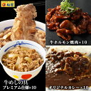 松屋 公式 牛ホルモン焼き10個&松屋オリジナルカレー10袋&牛めしの具-プレミアム仕様-10個セット 通販限定発売 まつや 牛丼 食品 グルメ 冷凍 冷凍食品...