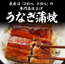 松屋 鰻・牛めしコンボセット30個（プレミアム仕様牛めしの具×30 うなぎ 鰻 うなぎカット80g 2枚） ウナギ 鰻 うなぎ 鰻のかば焼き 鰻の蒲焼 蒲焼 かば焼き 土用の丑の日 丑の日 3