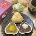 お盆 プレゼント ギフト 贈物 最中 6個入り 箱入り【送料無料 和菓子 高級 お取り寄せ スイーツ ギフト 詰め合わせ お菓子 おすすめ 銘菓 お礼 結婚記念日 誕生日 香典返し お供え お彼岸 もなか モナカ 絶品 あんこ 栗 贈答品 三重県 土産 人気 両親 妻 高齢者 ご挨拶】