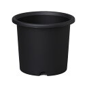 菊鉢 8号(グレー) 1個 アイリスオーヤマ 菊 挿し芽苗 鉢上げ