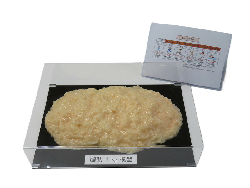 楽天市場】体脂肪 模型1kgの通販