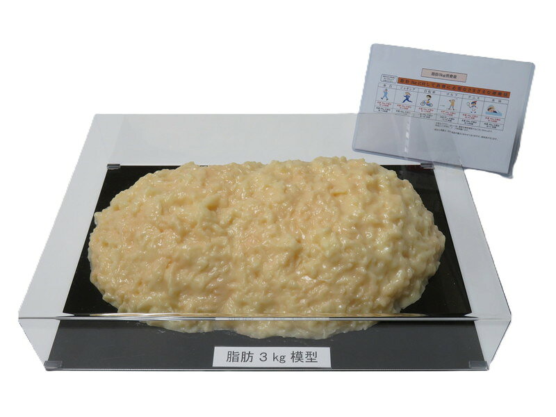 楽天市場】体脂肪 模型 3kgの通販