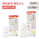 母乳実感哺乳びん T-Ester 300ml（デザインボトル） | 3ヵ月頃〜 ピジョン 哺乳瓶 ほ乳瓶 赤ちゃん 赤ちゃん用品 ベビー ベビー用品 ベビーグッズ 新生児 赤ちゃんグッズ あかちゃん 哺乳びん プラスチック 出産