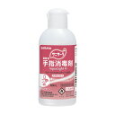 サニサーラAqua Light H 42143 60ML 手指消毒剤 25-2695-00 サラヤ ×48セット