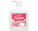 サニサーラAqua Light H 42141 ポンプツキ 500ML 手指消毒剤 25-2695-02 サラヤ ×10セット