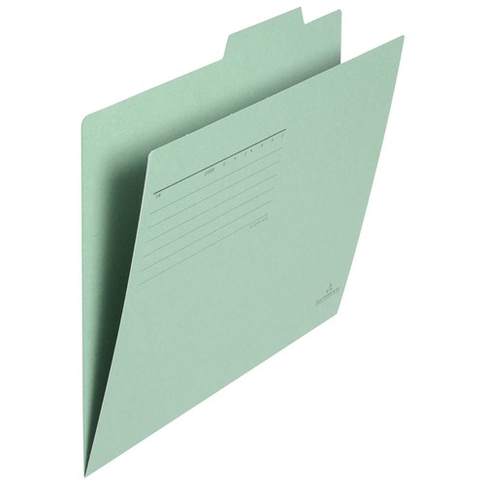 個別フォルダーA4E 緑 10枚 FL-001IF（10） 294648 グリーン プラス