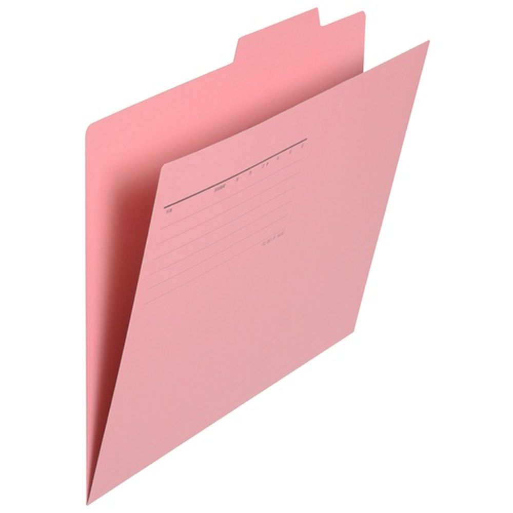 個別フォルダーA4E 桃 10枚 FL-061IF（10） 294589 ピンク プラス