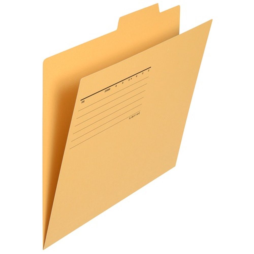 個別フォルダA4Eイエロー50枚 FL-082IF 87298 イエロー プラス