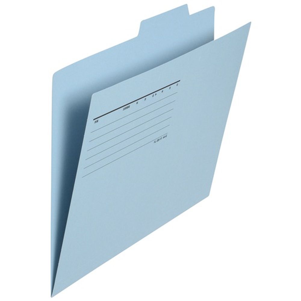 個別フォルダA4E Rブルー50枚 FL-082IF 87432 ロイヤルブルー プラス