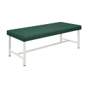診察台 ビニルレザーメディグリーン TB-901(60X180X60CM) 1台 高田ベッド製作所 02-5023-0915