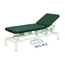 電動診察台(2M電動ベッド) ビニルレザーメディグリーン TB-949(W70XL180CM) 1台 高田ベッド製作所 20-3740-0015