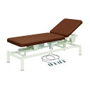 電動診察台(2M電動ベッド) ビニルレザーライトブラウン TB-949(W70XL180CM) 1台 高田ベッド製作所 20-3740-0017