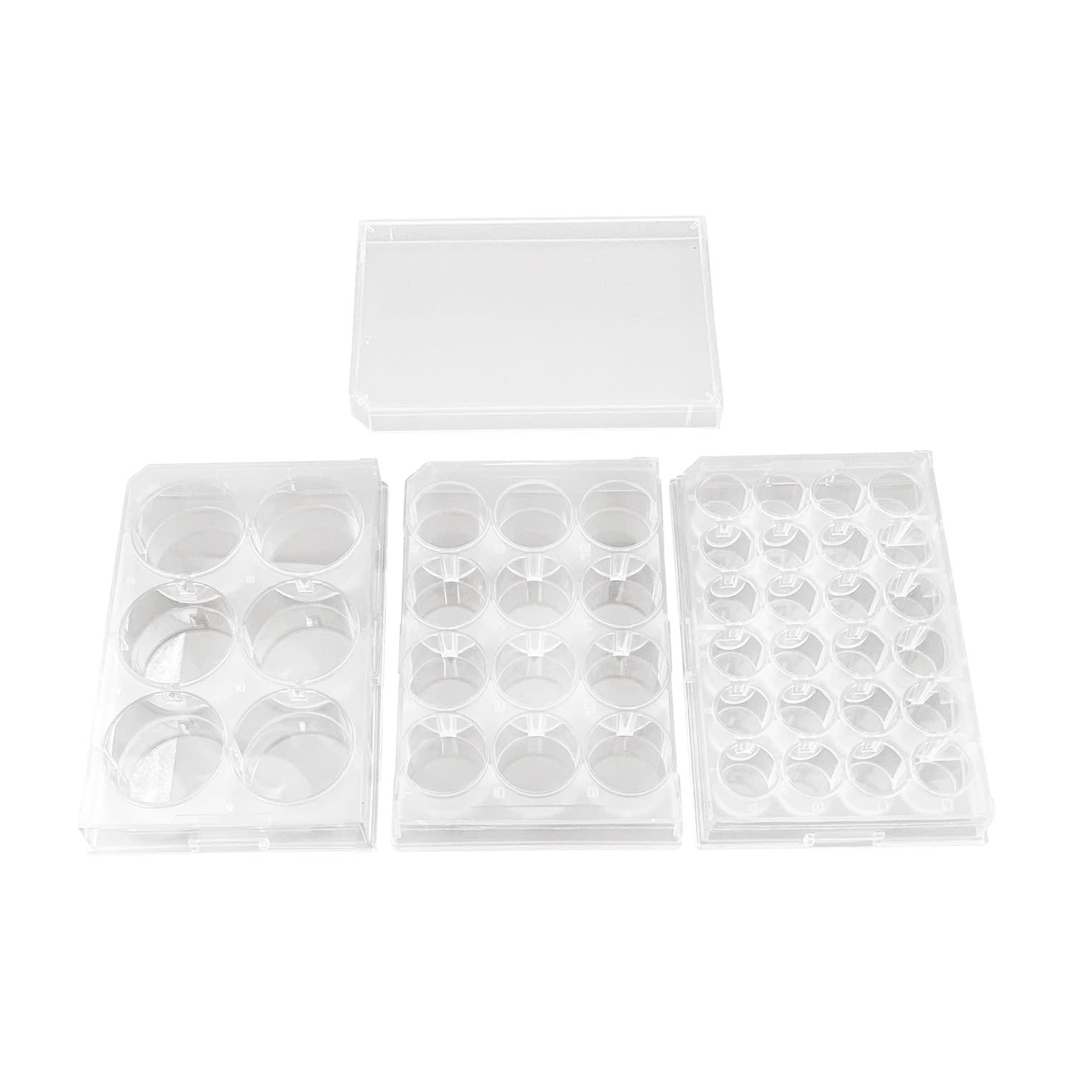 微生物・浮遊物培養プレート(12穴) P12F01S(60マイ) 1箱 ステム クリア 25-6141-01 マイクロプレート