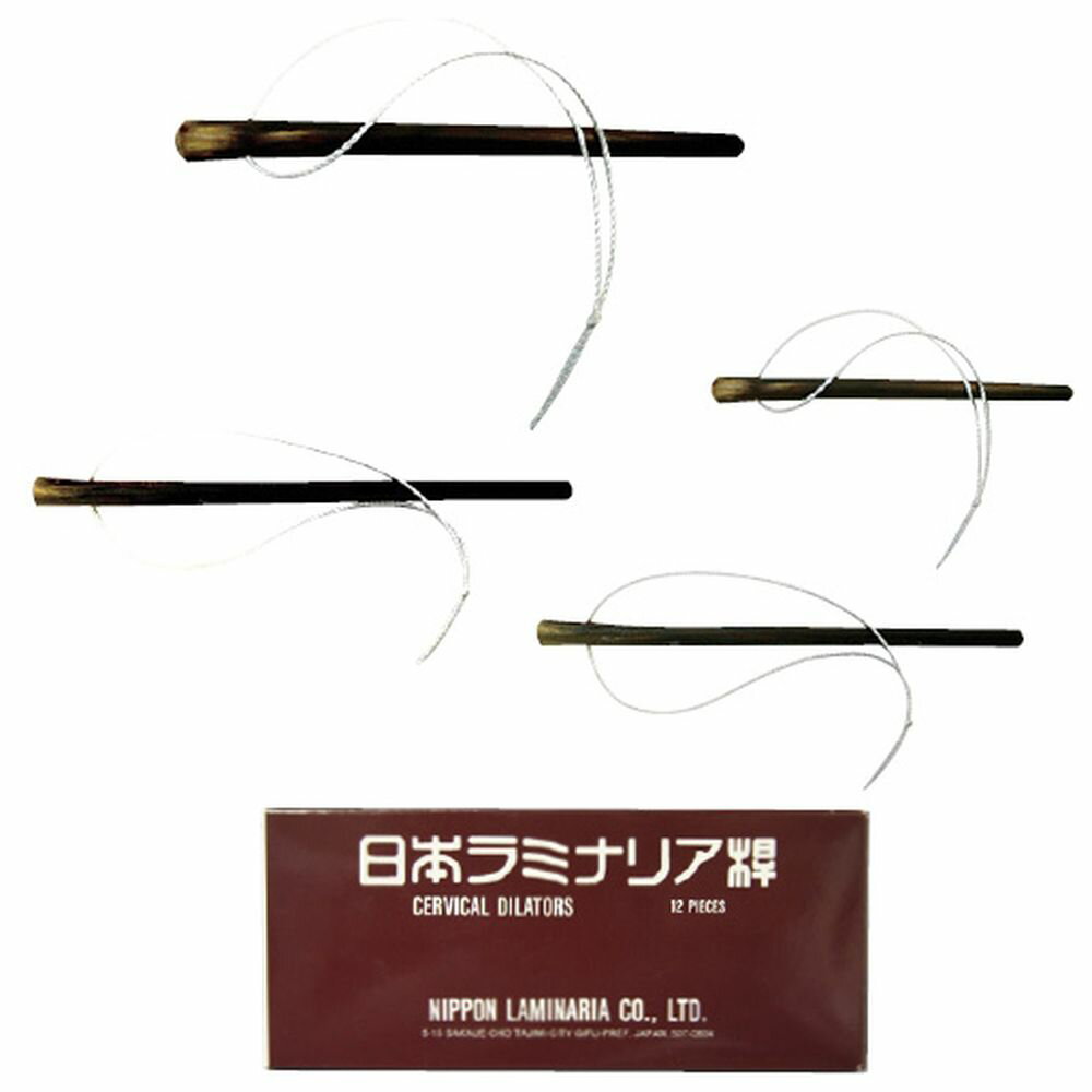 日本ラミナリア桿 BL（12ホンイリ） 22-2056-06 松吉医療総合カタログ｜マツヨシ