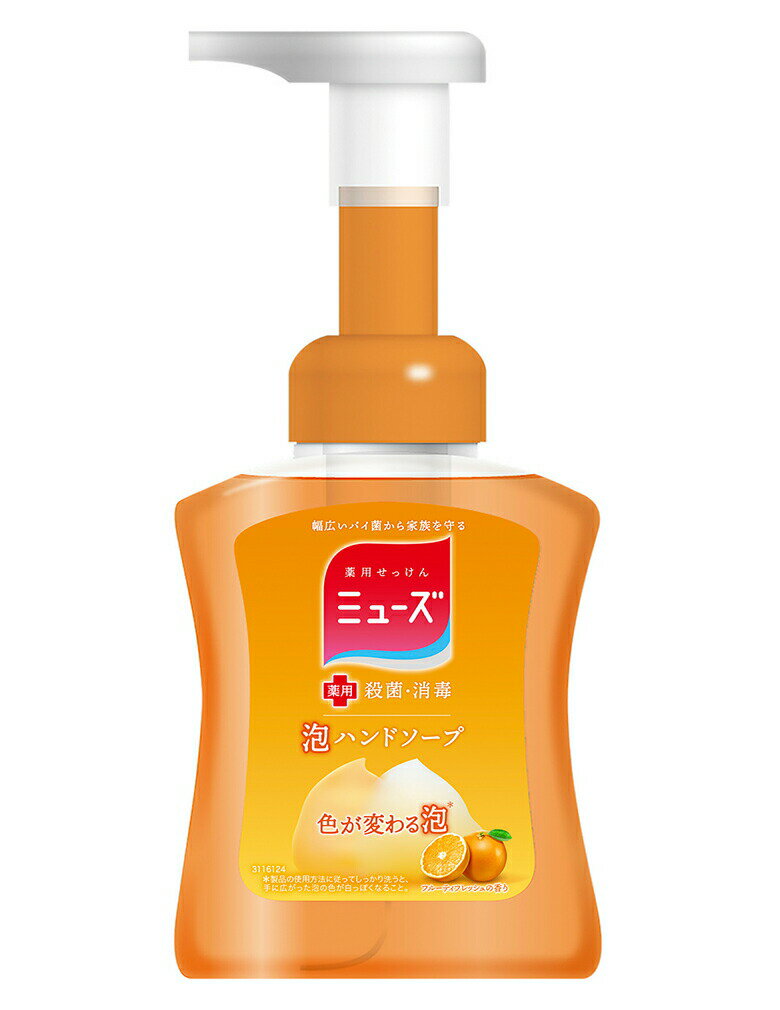 ミューズ ハンドソープ 泡 泡ミューズフルーティーフレッシュ本体 250ml 24個セット