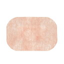 デルマポアドレッシング(2号) 15562(20マイイリ) 1箱 アルケア 23-6173-03 アルケア製医療品 皮膚保護 防水タイプ 透明フィルム 傷口保護 粘着ドレッシング ステリルパック 清潔管理 個包装 使い捨て 医療用品