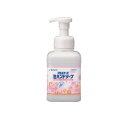 アルボナース 泡ハンドソープ 500ML 24本 ファーストレイト 24-7067-00