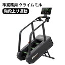 クライムミル 準業務用 階段運動 DK-LT04EB 大広 ステアクライマー トレーニング 有酸素運動 カーディオマシン 下半身 運動 健康増進 ダイエット