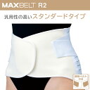 マックスベルト R2 321206(4L) 1個 日本シグマックス 1...(4)