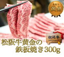 焼肉 セット ◆ 松阪牛 鉄板焼き 牛タン 秘伝のタレ漬け ホルモン バーベキュー（BBQ）に【送料無料】御歳暮 お歳暮 松坂牛 牛肉 肉 ステーキ セット 和牛 訳あり 焼肉 材料 お取り寄せ グルメ BBQ焼き肉 松阪肉 退職 プレゼント 母の日 父の日お中元 御中元 2