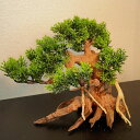 【お買い得・送料無料】小型溶岩石・樹脂水草付き盆栽流木(水槽専用アート流木)盆栽アート 盆栽 流木 天然流木 テラリウム アクアリウム インテリア 水槽
