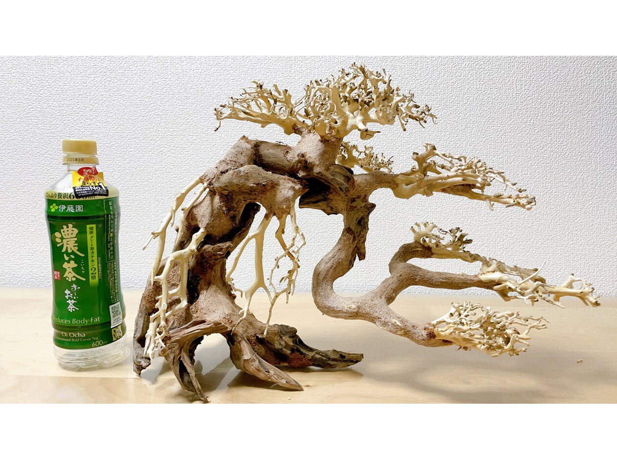 楽天市場 蟠幹盆栽流木 水槽専用アート流木 盆栽アート 盆栽 アクアリウム 流木 天然流木 インテリア 水槽 珍しい Www Gestalt Cl 楽天市場 蟠幹盆栽流木 水槽専用アート流木 盆栽アート 盆栽 アクアリウム 流木 天然流木 インテリア 水槽 珍しい Www Gestalt Cl