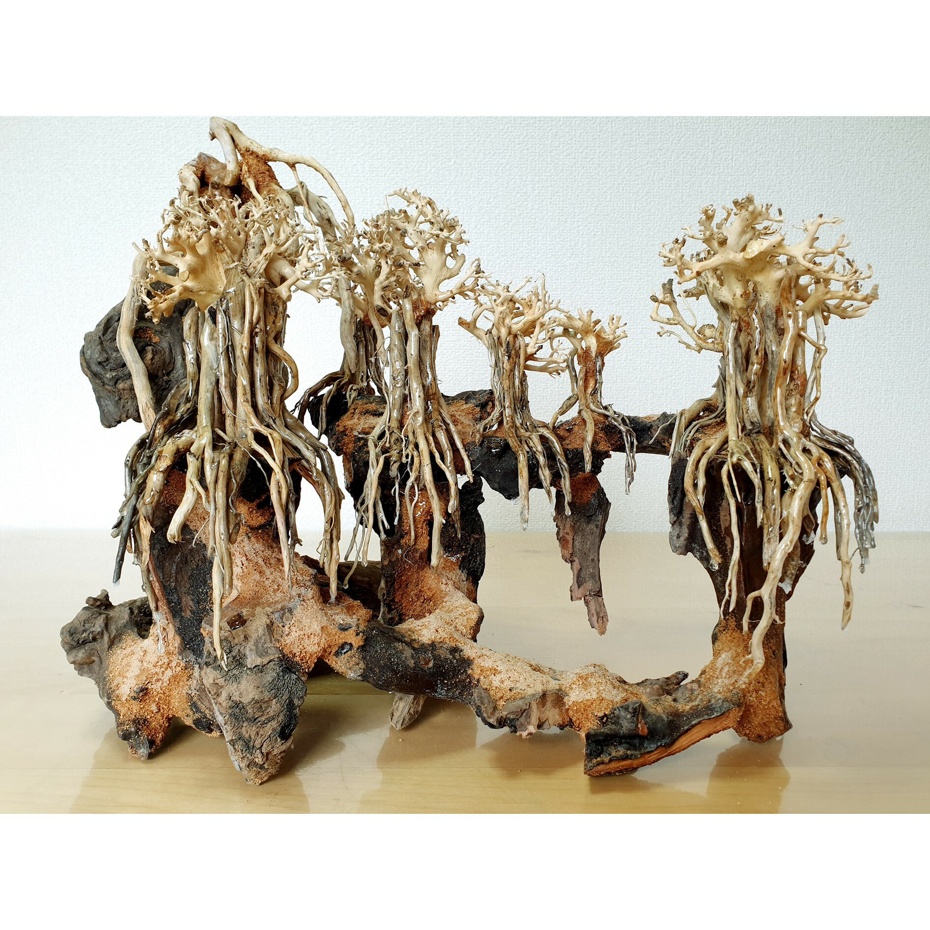 楽天市場】水槽台 60cm(流木|流木・砂利・レイアウト用品 楽天市場】水槽台 60cm(流木|流木・砂利・レイアウト用品