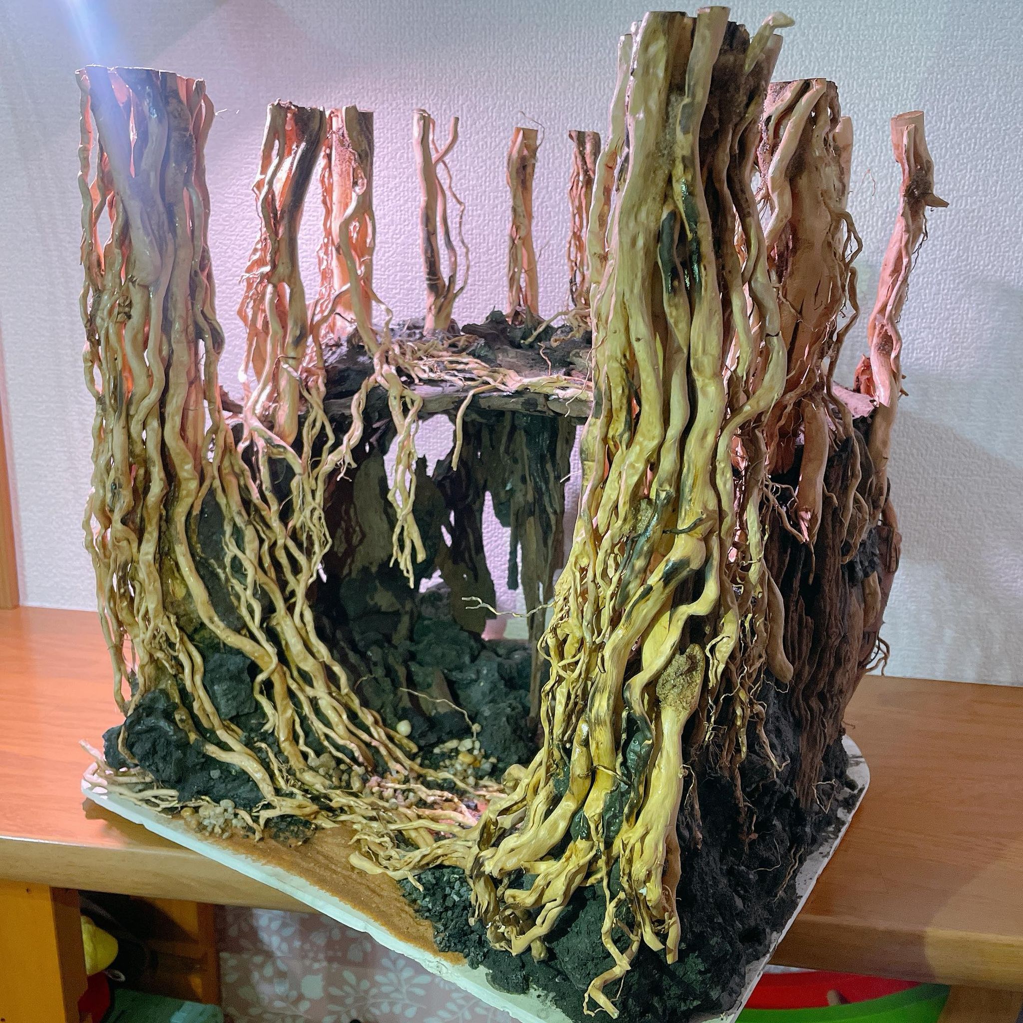 盆栽流木 流木 流木盆栽アクアリウム テラリウム インテリア 水槽 盆栽 ドリフトウッド 中型空洞型熱帯雨林のバニヤン流木 天然流木 セールsale Off 水槽専用アートアクアリウム