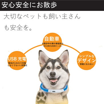 【送料無料】 首輪 犬 LED おしゃれ 大型犬 中型犬 小型犬 夜 光る 散歩 安全 35cm 50cm 70cm USB充電 光る首輪 自由にカット可能