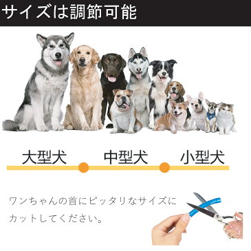 【送料無料】 首輪 犬 LED おしゃれ 大型犬 中型犬 小型犬 夜 光る 散歩 安全 35cm 50cm 70cm USB充電 光る首輪 自由にカット可能