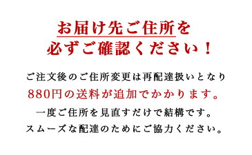 【5/1順次発送】【国内発送】【送料無料】 マスク 100枚 入り 使い捨て マスク BFE97% 普通サイズ 大人用 箱 在庫あり 白 ホワイト 国内 発送 日本 発送 不織布 飛沫感染 ウイルス 花粉 風邪 対策 50枚 入りの箱を2つでお届けします