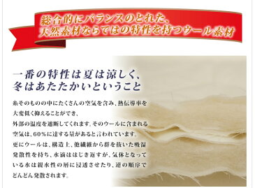 S+SD−ベッドパッド02Nウール デイリーコレクション ベッドパッド ウール【シングル+セミダブル】2台用 キナリ