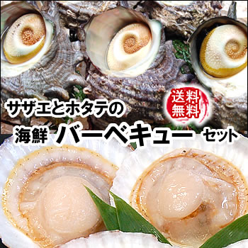 【送料無料】国産　ホタテ（片貝）