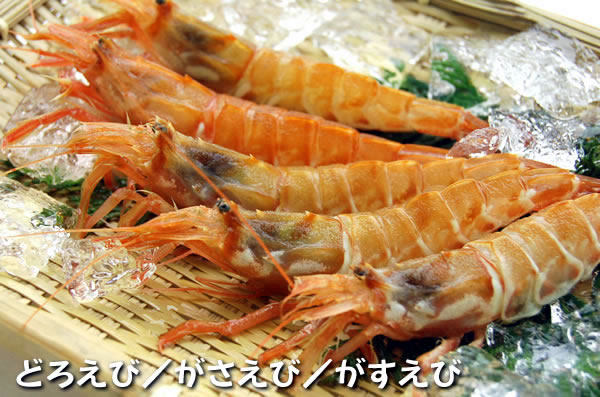 どろえび【船内冷凍】小サイズ 500g以上　≪浜坂産≫ドロエビ・ガラエビ・ガサエビ・トゲクロザコエビ・海老 matubagani-10000579 毎日漁港へ目利き一筋!かにの山米 サンプル画像2