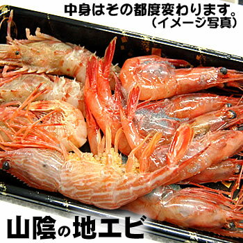 (只今お味見セール)山陰の地エビ(冷凍)約150g(浜坂産)(海老、えび)浜坂地えび 地元で水揚げされる種々の海老を詰めました。食べ比べどうぞ