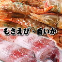 【送料無料】お刺身用！白いか＆もさえびセット【山陰浜坂産】父の日、ご贈答に最適！（モサエビ、ケンサキイカ）