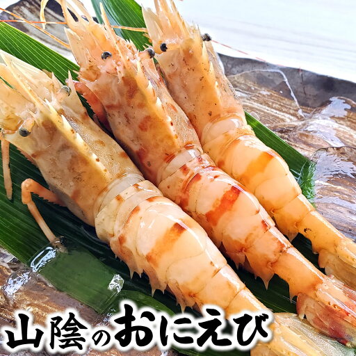 おにえび【船内冷凍】中大混ざり 500g以上(実質1k入) (山陰浜坂産) (オニエビ、ゴジラエビ、鬼海老) おにえび【船内冷凍】中大混ざり 500g以上(実質1k入) (山陰浜坂産) (オニエビ、ゴジラエビ、鬼海老)
