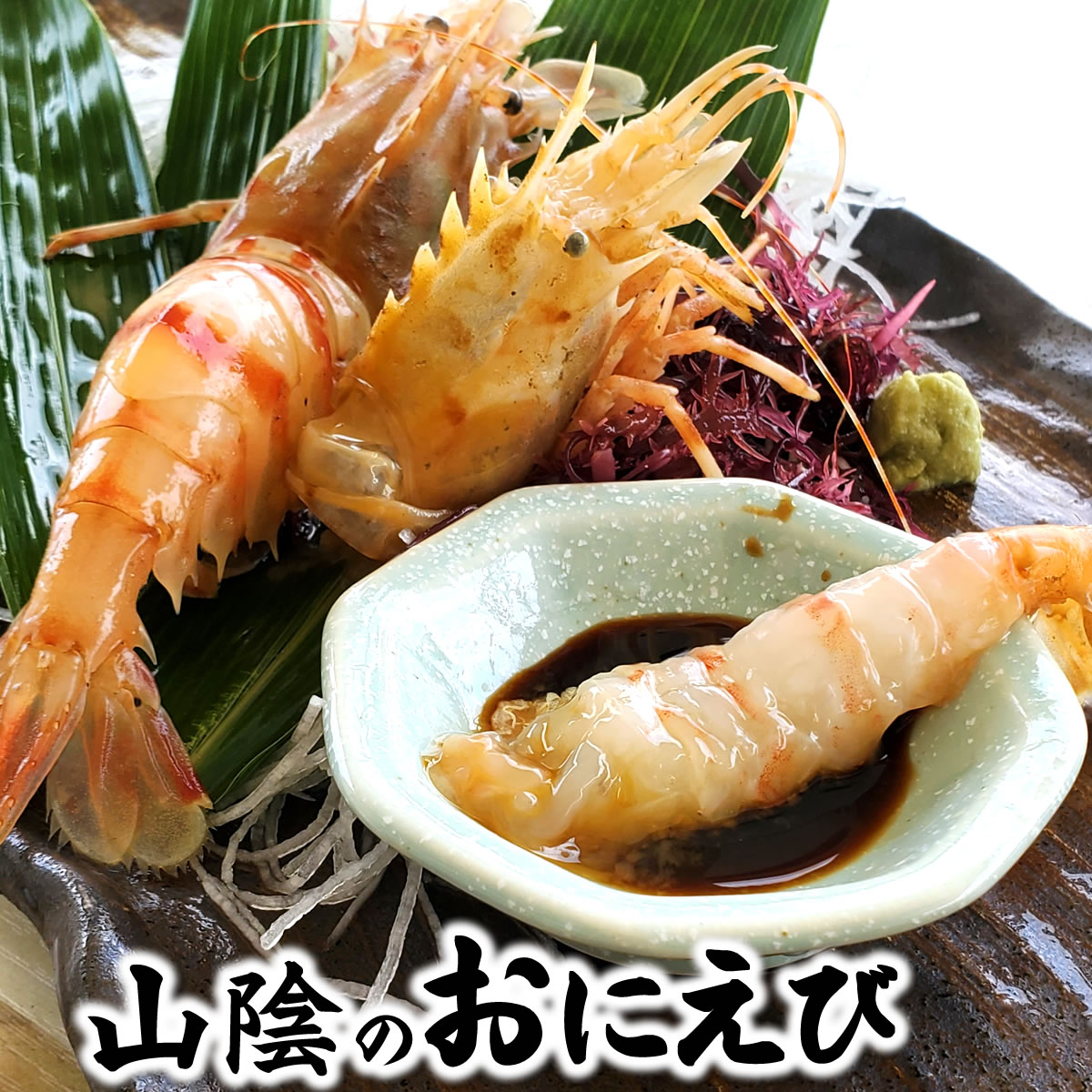 おにえび【船内冷凍】中小混ざり 500g以上 ≪浜坂産≫(オニエビ、ゴジラエビ、鬼海老)
