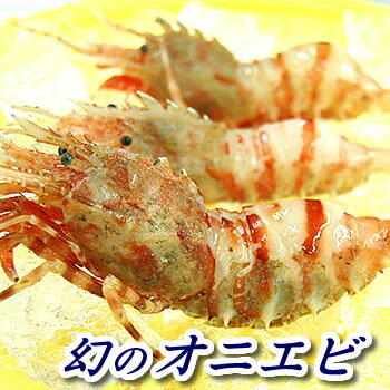 ꡦˤӡۡ140g[]ͺ仺ꡢƬʤäƤΤǡǤΥӤȤۤɴ...
