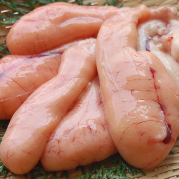 国産 訳あり・真鯛の子(真子・卵巣)【冷凍】 約500g ※破れ・ちぎれあり (鯛の子・たい・タイ・たいの子)