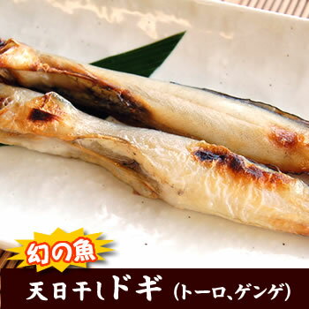 干しドギ（トーロ・ゲンゲ）（冷凍）無頭　約110g（兵庫県浜坂産）（干物、げんげ、グベ、ノメ、ヌメ、とうろ、とーろ、水魚）