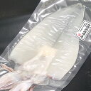 天日干し「白イカ」（冷凍）　特大　1枚　約250-300g　...